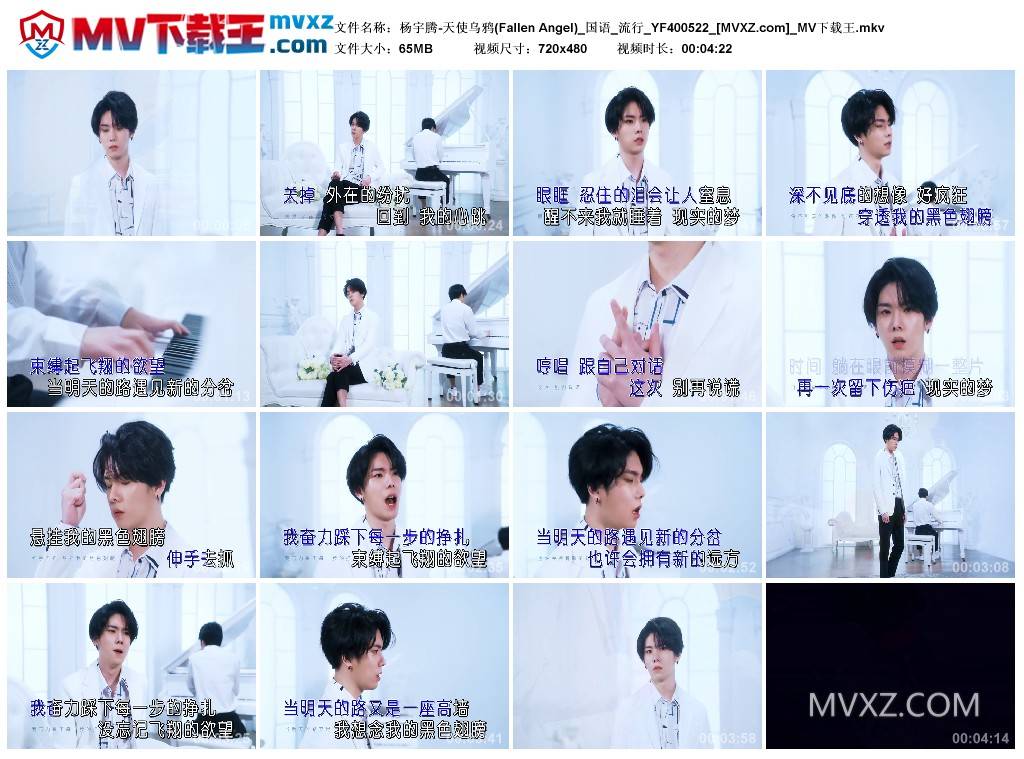 杨宇腾-天使乌鸦(Fallen Angel)_国语_流行_YF400522